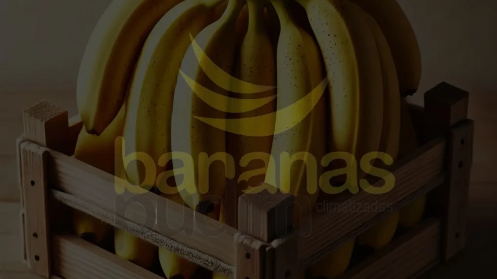 Caixa de Bananas