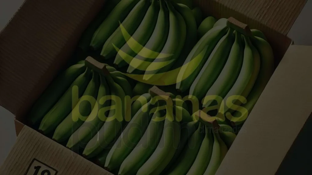 Preço da Caixa de Banana Verde