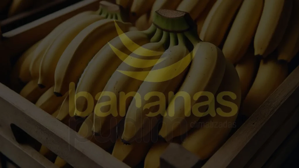 Caixa De Banana Prata