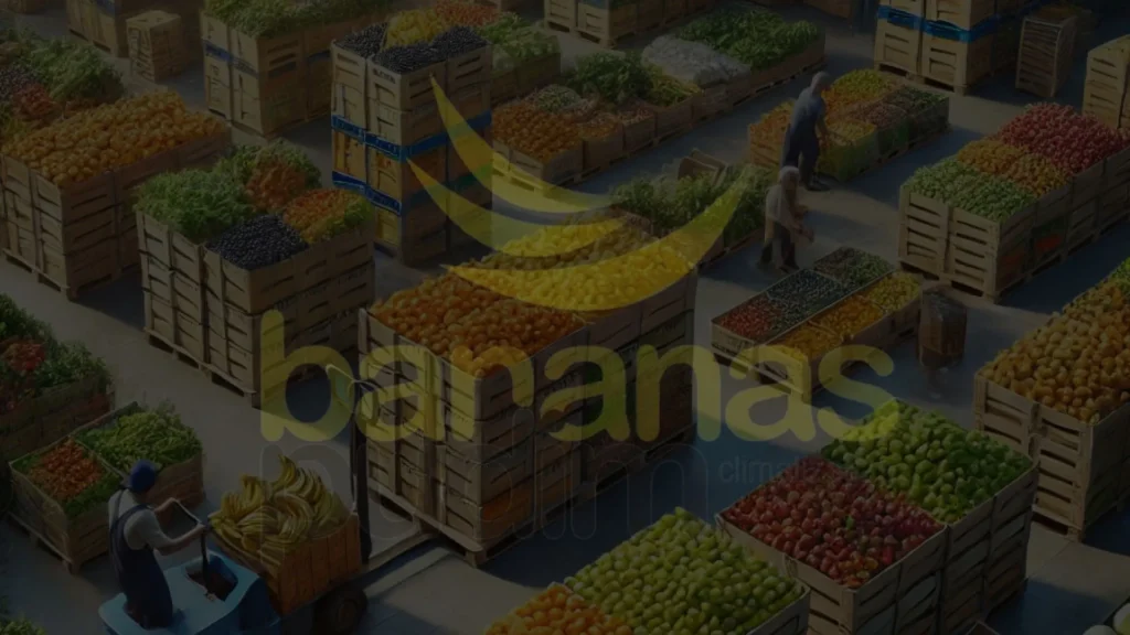 Atacado Para Hortifruti