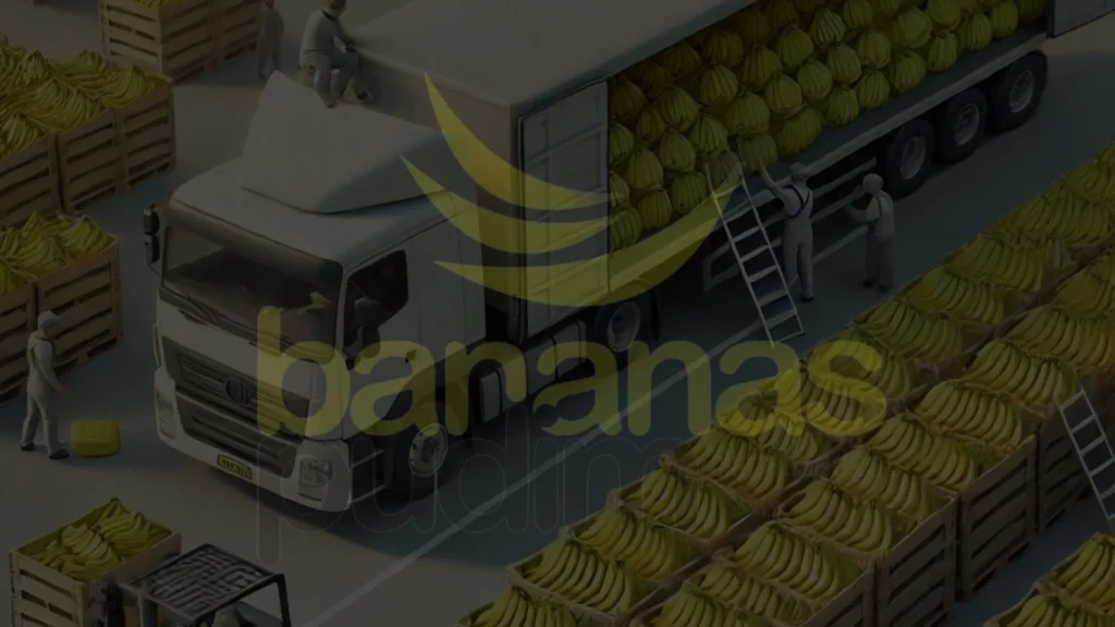 Transporte De Bananas