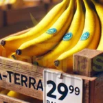 Preço Da Caixa De Banana Da Terra