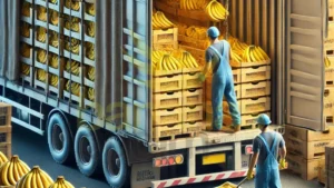 Transporte De Bananas