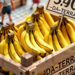 Preço Da Caixa De Banana Da Terra