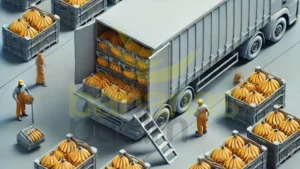 Transporte De Bananas