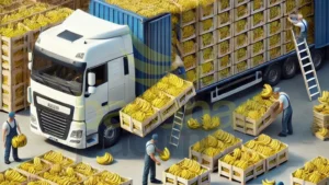 Transporte De Bananas