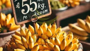 Preço Da Banana Ouro