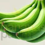 Banana Nanica Verde