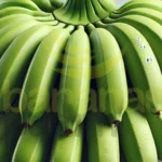 Banana Nanica Verde