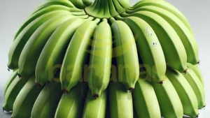 Banana Nanica Verde