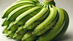 Banana Nanica Verde