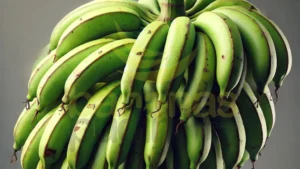 Fornecedor De Banana Da Terra