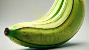 Fornecedor De Banana Da Terra