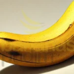 Fornecedor De Banana Da Terra