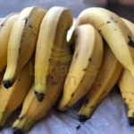 Infraestrutura Moderna para Climatização de Bananas