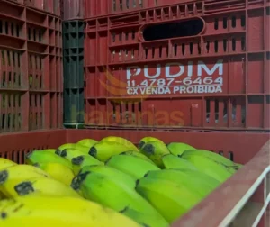 Logística Eficiente e Atendimento Personalizado