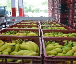 Compromisso com a Sustentabilidade e Inovação